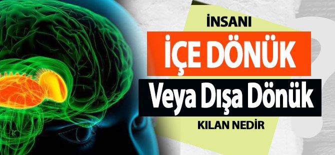 İçe veya Dışa dönüklüğün Nedenleri?
