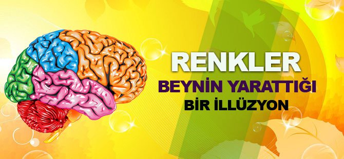 Renkler Beynin Oluşturduğu Bir İllüzyon!