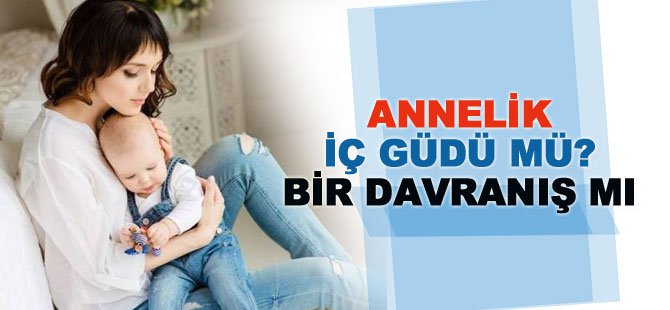 Annelik İçgüdü mü Bir Davranış mı?