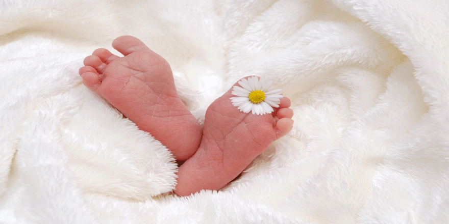 İlk kez bir ölüden yapılan rahim nakliyle sağlıklı bir bebek doğdu