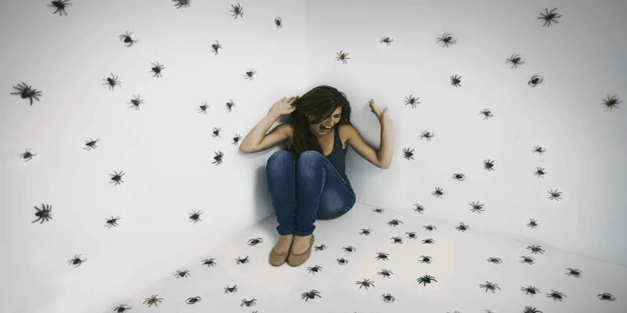 Arttırılmış Gerçeklik Uygulaması İle Böcek Ve Örümcek Korkusu ile Baş Etmek Mümkün