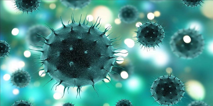 6 yeni corona virüs türü keşfedildi