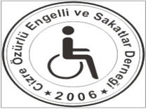 Cizre'de Engelliler Yararına Konser