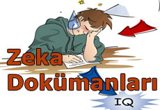 Zeka Konusunda Dokümanlar