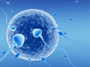 Sperm Kalitesini Düşüren Etkenler Nelerdir?