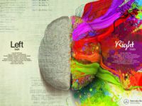 Sağ Beyin ve Sol Beyin İşbirliği