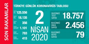 Koronavirüs 2 Nisan 2020 Türkiye İstatistikleri