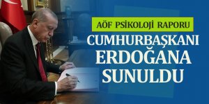 AÖF Psikoloji Raporu Cumhurbaşkanı Erdoğan'a Sunuldu