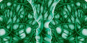 Ayna Nöronlar Nedir ve İşlevleri Nelerdir?