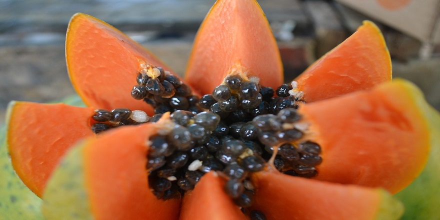 papaya-966322_960_720.jpg