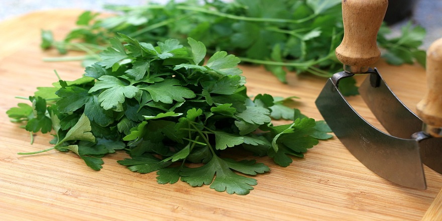parsley-3535434_960_720-001.jpg