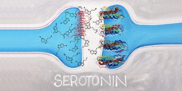 serotonin.jpg