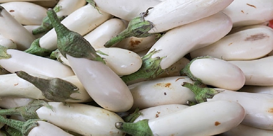 yumurta-cicegi-beyaz-patlicanin-faydalari.jpeg